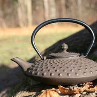 iwachu-kambin-teekanne-braun